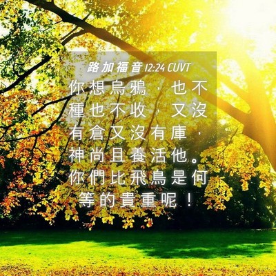 Picture 04 - 路 加 福 音 12:24 CUVT - 你 想 烏 鴉 ， 也 不 種 也 不 收 ， - Bible Verse Picture