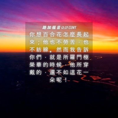 Picture 04 - 路 加 福 音 12:27 CUVT - 你 想 百 合 花 怎 麼 長 起 來 ； 他 - Bible Verse Picture
