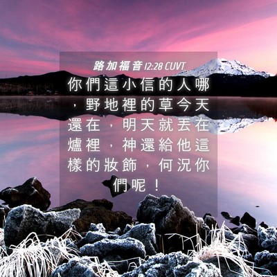 Picture 04 - 路 加 福 音 12:28 CUVT - 你 們 這 小 信 的 人 哪 ， 野 地 裡 - Bible Verse Picture