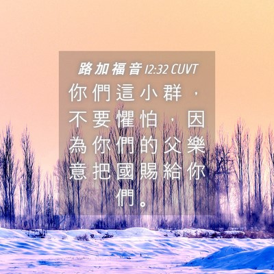 Picture 04 - 路 加 福 音 12:32 CUVT - 你 們 這 小 群 ， 不 要 懼 怕 ， 因 - Bible Verse Picture