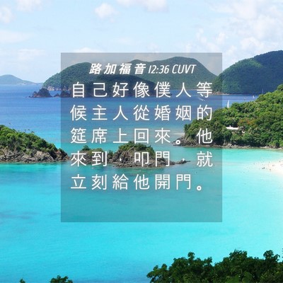 Picture 04 - 路 加 福 音 12:36 CUVT - 自 己 好 像 僕 人 等 候 主 人 從 婚 - Bible Verse Picture