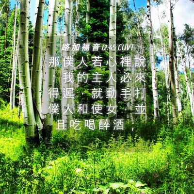 Picture 04 - 路 加 福 音 12:45 CUVT - 那 僕 人 若 心 裡 說 ： 我 的 主 人 - Bible Verse Picture