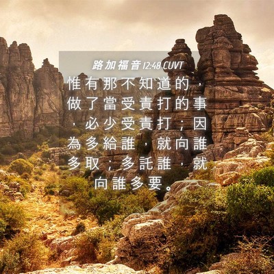 Picture 04 - 路 加 福 音 12:48 CUVT - 惟 有 那 不 知 道 的 ， 做 了 當 受 - Bible Verse Picture