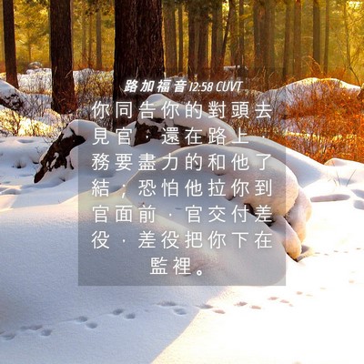 Picture 04 - 路 加 福 音 12:58 CUVT - 你 同 告 你 的 對 頭 去 見 官 ， 還 - Bible Verse Picture