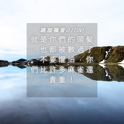 Picture 04 - 路 加 福 音 12:7 CUVT - 就 是 你 們 的 頭 髮 ， 也 都 被 數 - Bible Verse Picture