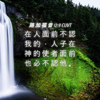 Picture 04 - 路 加 福 音 12:9 CUVT - 在 人 面 前 不 認 我 的 ， 人 子 在 - Bible Verse Picture