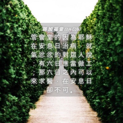 Picture 04 - 路 加 福 音 13:14 CUVT - 管 會 堂 的 因 為 耶 穌 在 安 息 日 - Bible Verse Picture