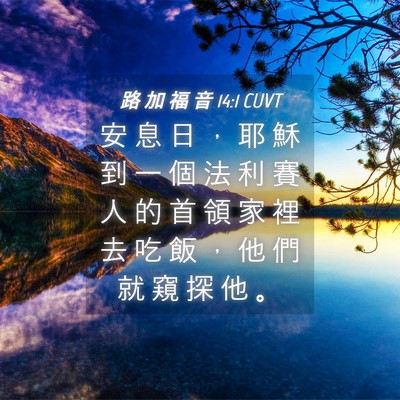 Picture 04 - 路 加 福 音 14:1 CUVT - 安 息 日 ， 耶 穌 到 一 個 法 利 賽 - Bible Verse Picture