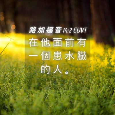 Picture 04 - 路 加 福 音 14:2 CUVT - 在 他 面 前 有 一 個 患 水 臌 的 人 - Bible Verse Picture