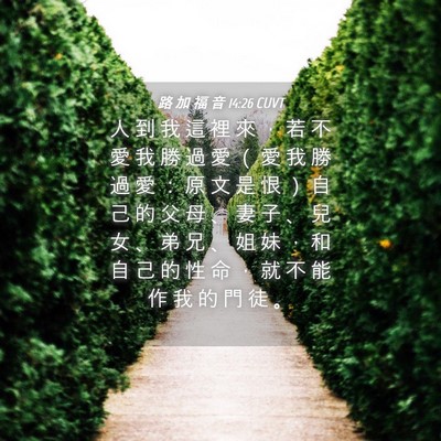 Picture 04 - 路 加 福 音 14:26 CUVT - 人 到 我 這 裡 來 ， 若 不 愛 我 勝 - Bible Verse Picture