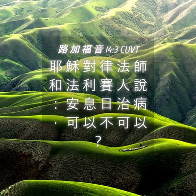 Picture 04 - 路 加 福 音 14:3 CUVT - 耶 穌 對 律 法 師 和 法 利 賽 人 說 - Bible Verse Picture