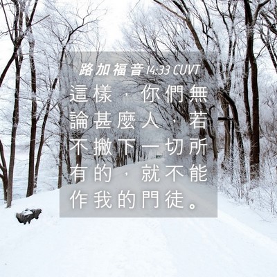 Picture 04 - 路 加 福 音 14:33 CUVT - 這 樣 ， 你 們 無 論 甚 麼 人 ， 若 - Bible Verse Picture