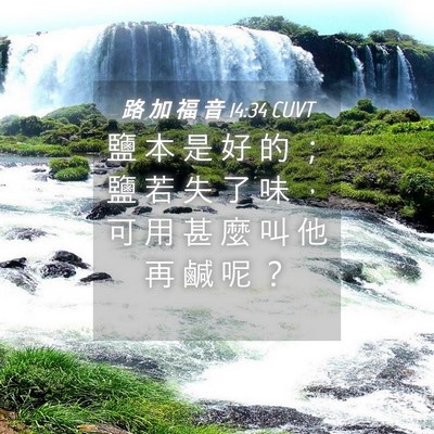 Picture 04 - 路 加 福 音 14:34 CUVT - 鹽 本 是 好 的 ； 鹽 若 失 了 味 ， - Bible Verse Picture
