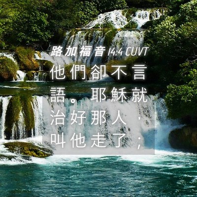 Picture 04 - 路 加 福 音 14:4 CUVT - 他 們 卻 不 言 語 。 耶 穌 就 治 好 - Bible Verse Picture