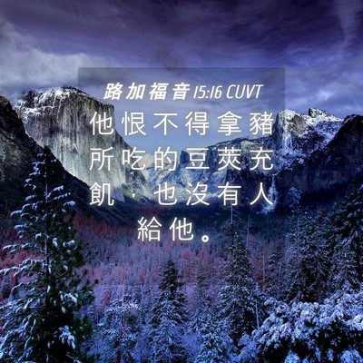 Picture 04 - 路 加 福 音 15:16 CUVT - 他 恨 不 得 拿 豬 所 吃 的 豆 莢 充 - Bible Verse Picture