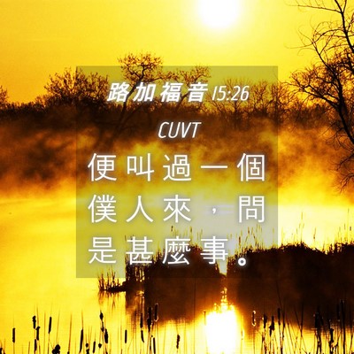 Picture 04 - 路 加 福 音 15:26 CUVT - 便 叫 過 一 個 僕 人 來 ， 問 是 甚 - Bible Verse Picture