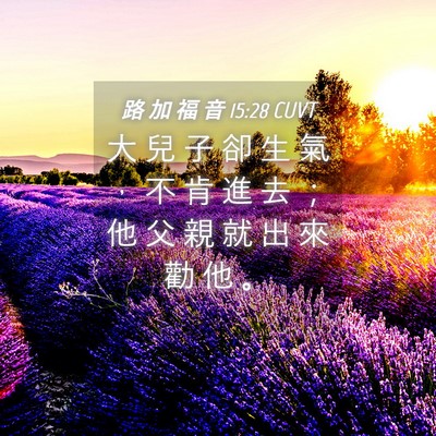 Picture 04 - 路 加 福 音 15:28 CUVT - 大 兒 子 卻 生 氣 ， 不 肯 進 去 ； - Bible Verse Picture
