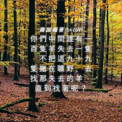 Picture 04 - 路 加 福 音 15:4 CUVT - 你 們 中 間 誰 有 一 百 隻 羊 失 去 - Bible Verse Picture