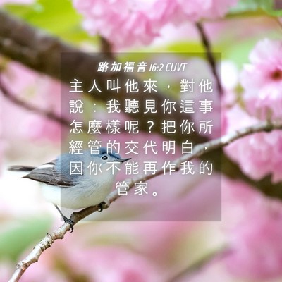 Picture 04 - 路 加 福 音 16:2 CUVT - 主 人 叫 他 來 ， 對 他 說 ： 我 聽 - Bible Verse Picture