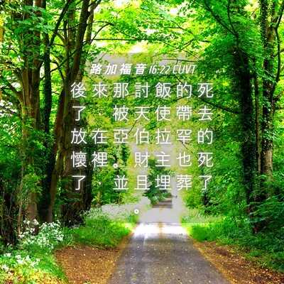 Picture 04 - 路 加 福 音 16:22 CUVT - 後 來 那 討 飯 的 死 了 ， 被 天 使 - Bible Verse Picture