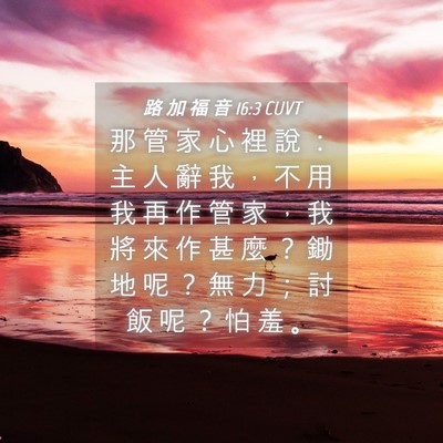 Picture 04 - 路 加 福 音 16:3 CUVT - 那 管 家 心 裡 說 ： 主 人 辭 我 ， - Bible Verse Picture