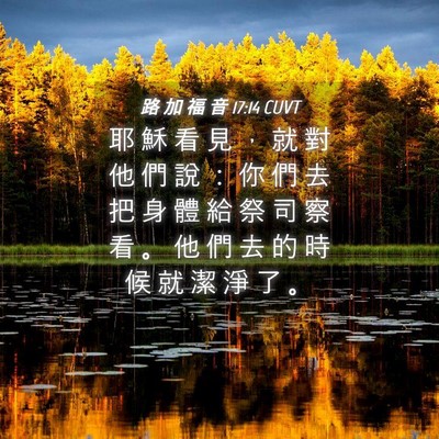 Picture 04 - 路 加 福 音 17:14 CUVT - 耶 穌 看 見 ， 就 對 他 們 說 ： 你 - Bible Verse Picture