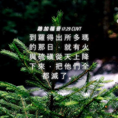 Picture 04 - 路 加 福 音 17:29 CUVT - 到 羅 得 出 所 多 瑪 的 那 日 ， 就 - Bible Verse Picture