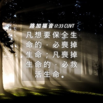 Picture 04 - 路 加 福 音 17:33 CUVT - 凡 想 要 保 全 生 命 的 ， 必 喪 掉 - Bible Verse Picture