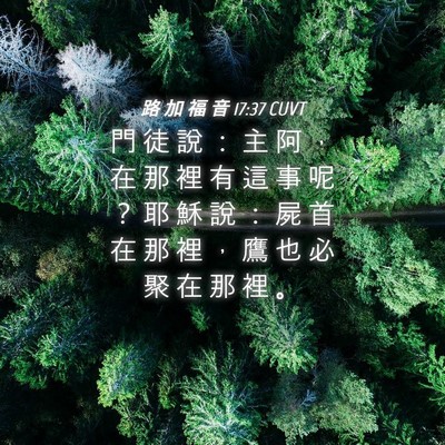 Picture 04 - 路 加 福 音 17:37 CUVT - 門 徒 說 ： 主 阿 ， 在 那 裡 有 這 - Bible Verse Picture