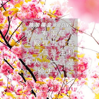 Picture 04 - 路 加 福 音 18:10 CUVT - 說 ： 有 兩 個 人 上 殿 裡 去 禱 告 - Bible Verse Picture