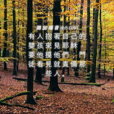 Picture 04 - 路 加 福 音 18:15 CUVT - 有 人 抱 著 自 己 的 嬰 孩 來 見 耶 - Bible Verse Picture