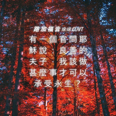 Picture 04 - 路 加 福 音 18:18 CUVT - 有 一 個 官 問 耶 穌 說 ： 良 善 的 - Bible Verse Picture