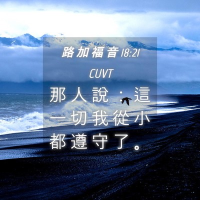 Picture 04 - 路 加 福 音 18:21 CUVT - 那 人 說 ： 這 一 切 我 從 小 都 遵 - Bible Verse Picture
