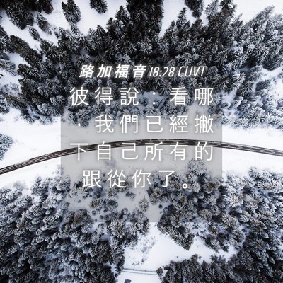 Picture 04 - 路 加 福 音 18:28 CUVT - 彼 得 說 ： 看 哪 ， 我 們 已 經 撇 - Bible Verse Picture