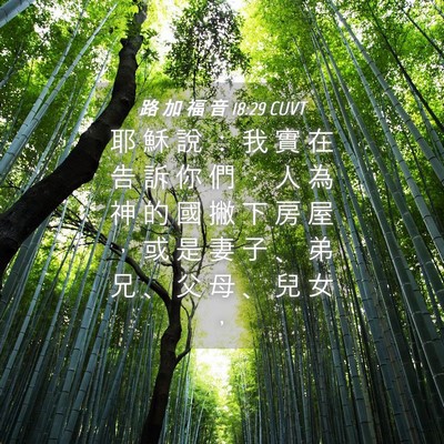 Picture 04 - 路 加 福 音 18:29 CUVT - 耶 穌 說 ： 我 實 在 告 訴 你 們 ， - Bible Verse Picture