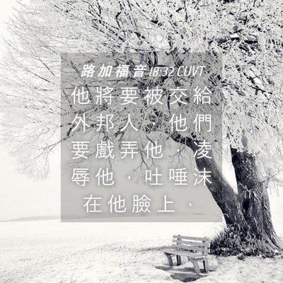 Picture 04 - 路 加 福 音 18:32 CUVT - 他 將 要 被 交 給 外 邦 人 ， 他 們 - Bible Verse Picture