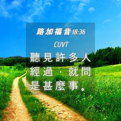 Picture 04 - 路 加 福 音 18:36 CUVT - 聽 見 許 多 人 經 過 ， 就 問 是 甚 - Bible Verse Picture