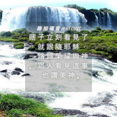 Picture 04 - 路 加 福 音 18:43 CUVT - 瞎 子 立 刻 看 見 了 ， 就 跟 隨 耶 - Bible Verse Picture