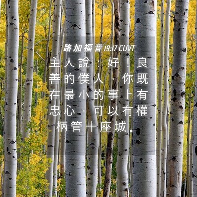 Picture 04 - 路 加 福 音 19:17 CUVT - 主 人 說 ： 好 ！ 良 善 的 僕 人 ， - Bible Verse Picture