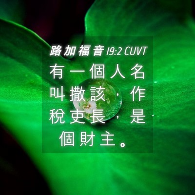 Picture 04 - 路 加 福 音 19:2 CUVT - 有 一 個 人 名 叫 撒 該 ， 作 稅 吏 - Bible Verse Picture