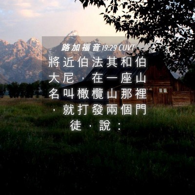 Picture 04 - 路 加 福 音 19:29 CUVT - 將 近 伯 法 其 和 伯 大 尼 ， 在 一 - Bible Verse Picture