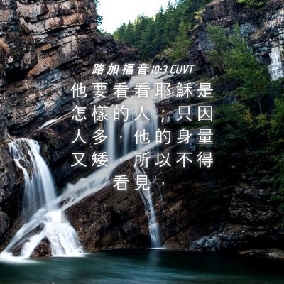 Picture 04 - 路 加 福 音 19:3 CUVT - 他 要 看 看 耶 穌 是 怎 樣 的 人 ； - Bible Verse Picture