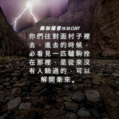 Picture 04 - 路 加 福 音 19:30 CUVT - 你 們 往 對 面 村 子 裡 去 ， 進 去 - Bible Verse Picture
