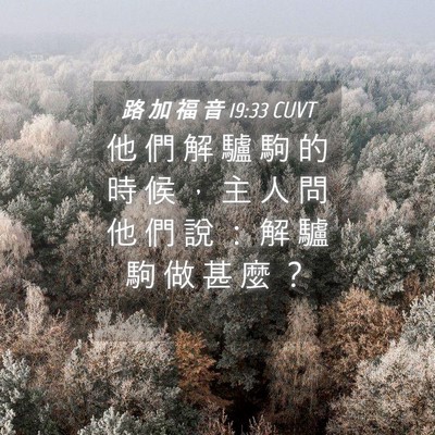 Picture 04 - 路 加 福 音 19:33 CUVT - 他 們 解 驢 駒 的 時 候 ， 主 人 問 - Bible Verse Picture