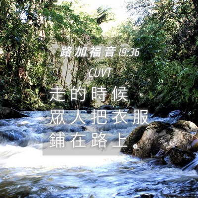 Picture 04 - 路 加 福 音 19:36 CUVT - 走 的 時 候 ， 眾 人 把 衣 服 鋪 在 - Bible Verse Picture
