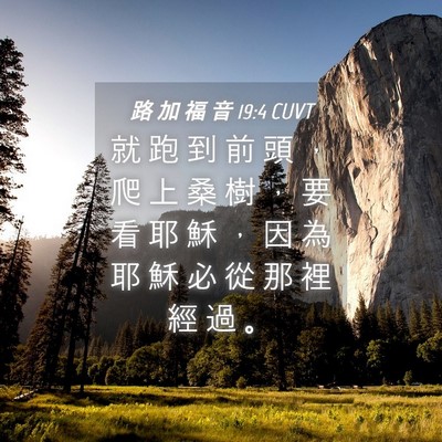Picture 04 - 路 加 福 音 19:4 CUVT - 就 跑 到 前 頭 ， 爬 上 桑 樹 ， 要 - Bible Verse Picture