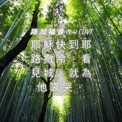 Picture 04 - 路 加 福 音 19:41 CUVT - 耶 穌 快 到 耶 路 撒 冷 ， 看 見 城 - Bible Verse Picture