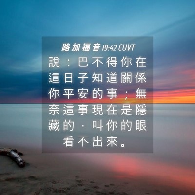Picture 04 - 路 加 福 音 19:42 CUVT - 說 ： 巴 不 得 你 在 這 日 子 知 道 - Bible Verse Picture