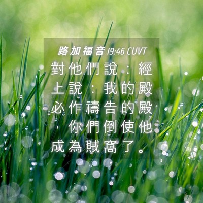 Picture 04 - 路 加 福 音 19:46 CUVT - 對 他 們 說 ： 經 上 說 ： 我 的 殿 - Bible Verse Picture