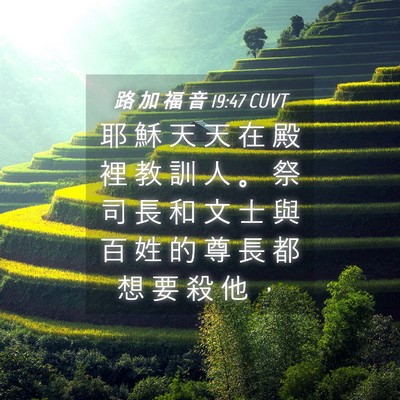 Picture 04 - 路 加 福 音 19:47 CUVT - 耶 穌 天 天 在 殿 裡 教 訓 人 。 祭 - Bible Verse Picture